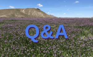 Riverbed Ranch Q&A Zoom meeting